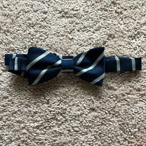 Navy and silver stripe Bow tie.